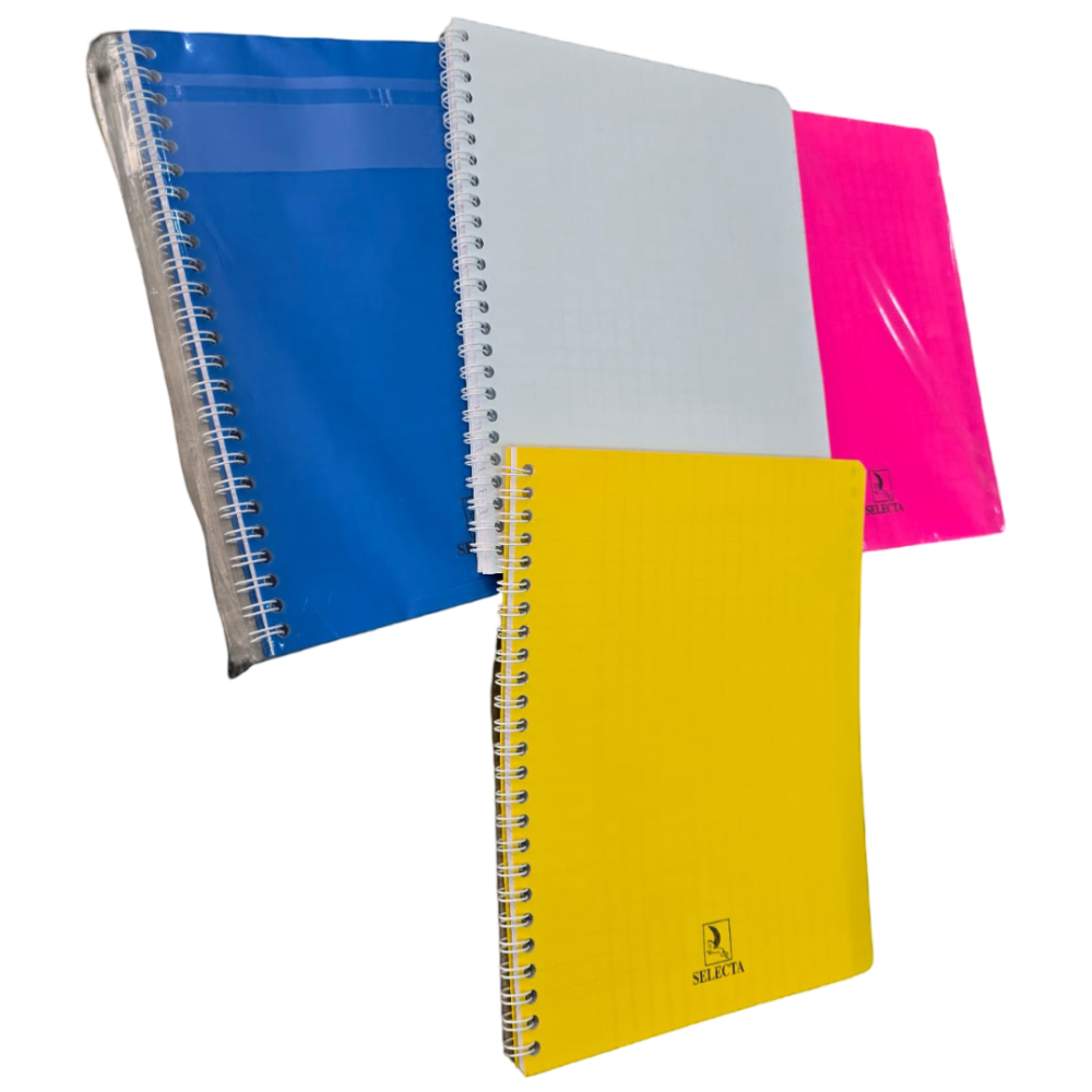 CAHIER WIRO SELECTA 100 PAGES PM