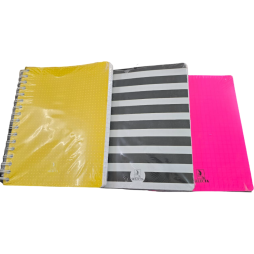 CAHIER WIRO SELECTA 400 PAGES PM