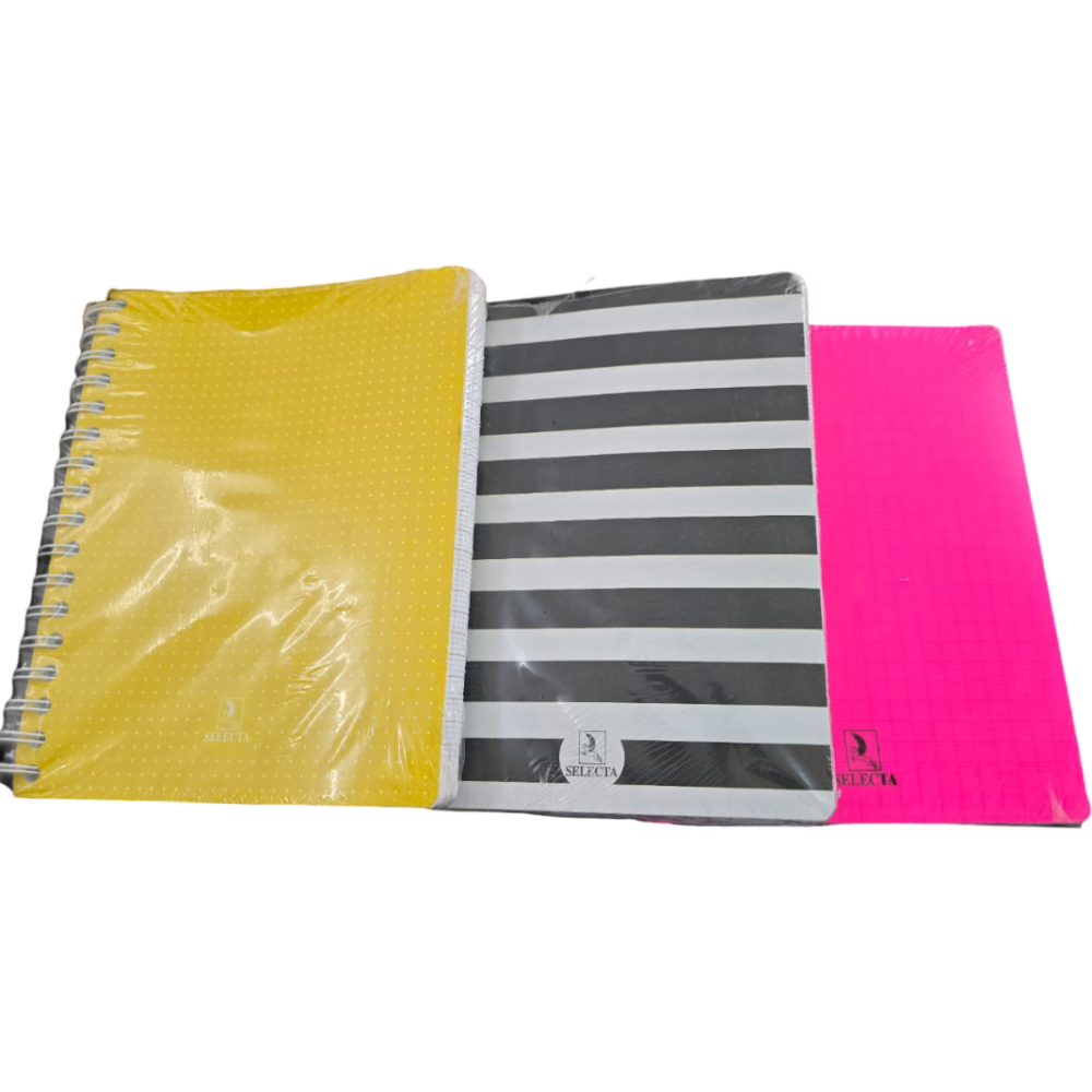 CAHIER WIRO SELECTA 400 PAGES PM
