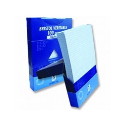 Fiche Bristol A5 100F Blanc