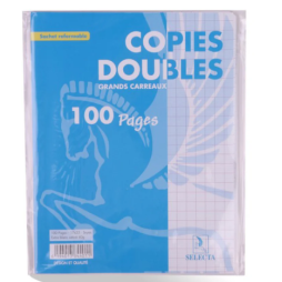 DOUBLE FEUILLE PERFORE PM 100P SELECTA