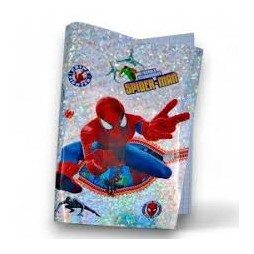 Protège Cahier Fantaisie garçon