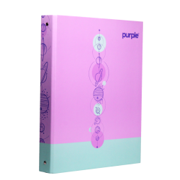 Classeur Fantaisie A4 à 4 anneaux Dos 30mm