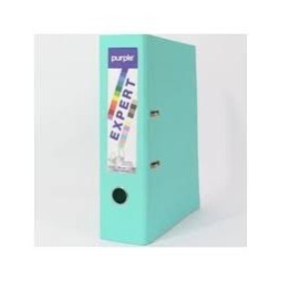 Classeur À Levier (Chrono) Dos 80mm EXPERT Vert Clair