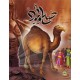 صالح و ثمود - قصص الانبياء - كتابي