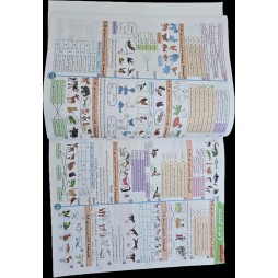 مشروعي في الايقاظ العلمي سنة 3