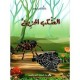 العنكب الحزين  مكتبة كامل كيلاني