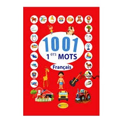 1001 MOTS FRANCAIS