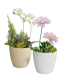 Pot à plante en plastique 13 cm