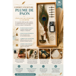 Coffret Stylo Plume de Calligraphie  Encre  Écriture  Art