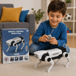 Kit de robot mécanique solaire éducatif 2 en 1
