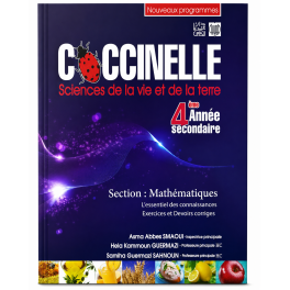 coccinelle 4 eme annee section mathematiques