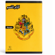 CAHIER DE CLASSE 36 PAGES SELECTA