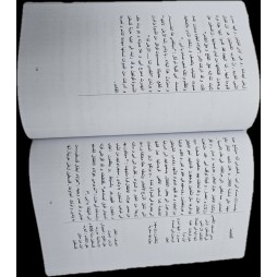 لؤلؤة النموذجي في الانتاج سنة 6