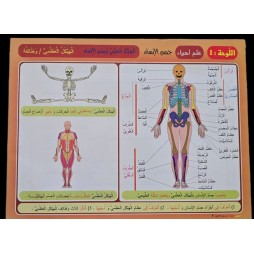 دروبي بحوث في علم الاحياء سنة 5