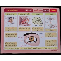 دروبي بحوث في علم الاحياء سنة 6