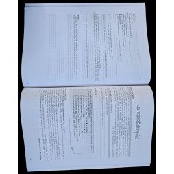EXCELLER EST POSSIBLE 9ème FRANCAIS