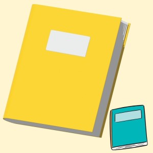 CAHIER PIQURE
