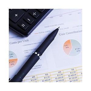 bac économie